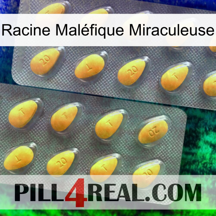 Racine Maléfique Miraculeuse cialis2